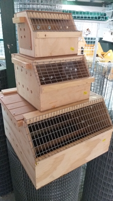 bird-travel-boxes